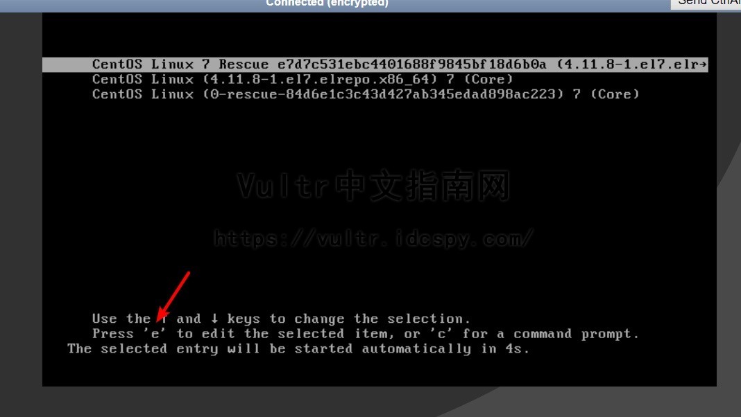 Vultr VPS