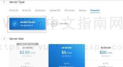 Vultr IP
