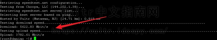 Vultr服务器