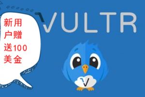 Vultr新用户100美金活动