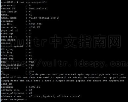 Vultr云主机CPU