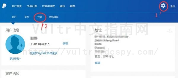 Vultr PAYPAL付款界面