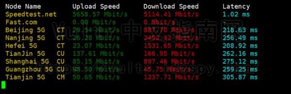 Vultr下载速度