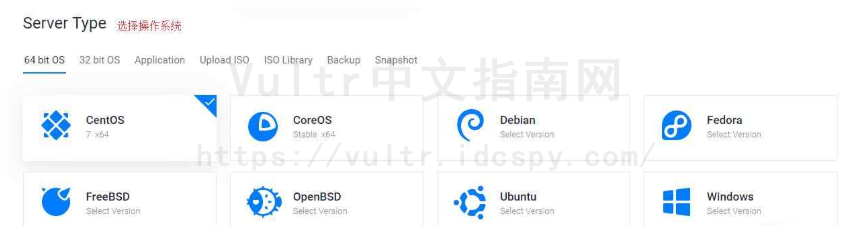 Vultr美国VPS的使用教程