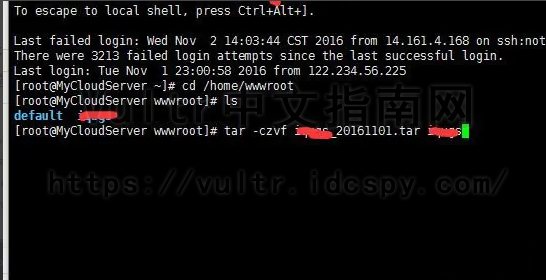 Vultr VPS网站备份