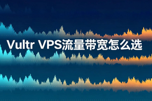 Vultr