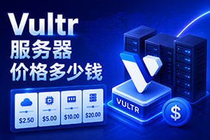 Vultr服务器