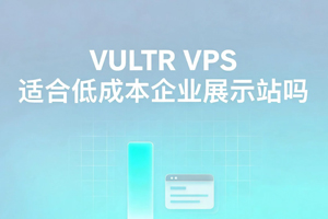 Vultr VPS
